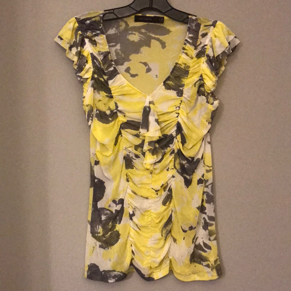 The Limited sheer rushed top